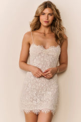 Jetta Sequin Lace Mini Dress